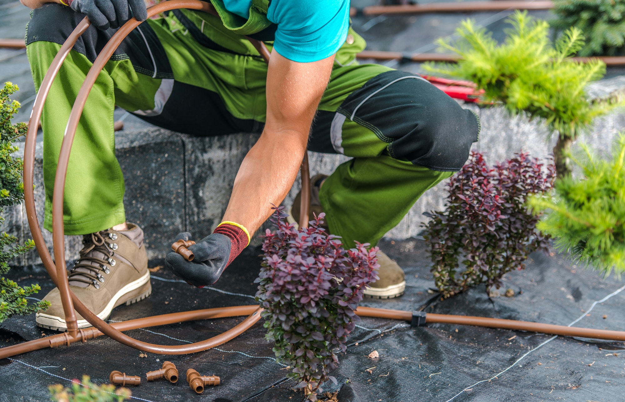 Eco Conseils Goutte à Goutte En Terre Cuite Black Friday Hot Sale Maison Et Jard