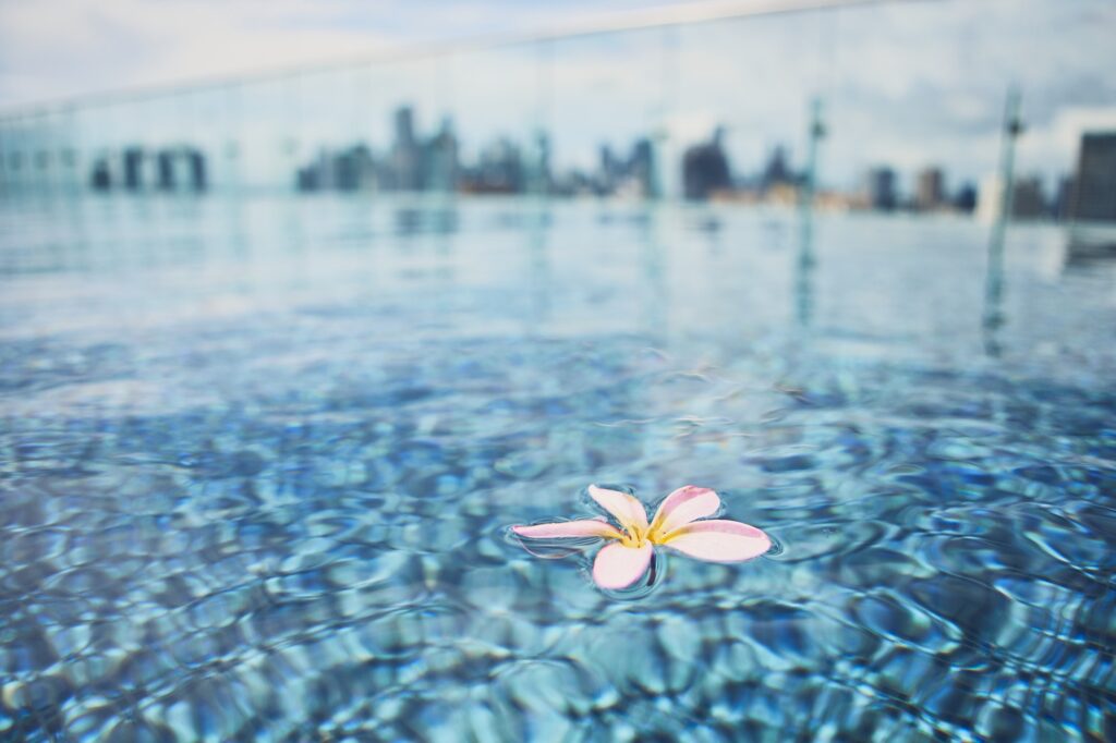 Bloom floating on water surface of rooftop swimming pool against silhouette buildings of urban