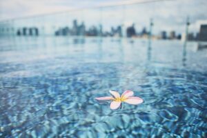 Bloom floating on water surface of rooftop swimming pool against silhouette buildings of urban
