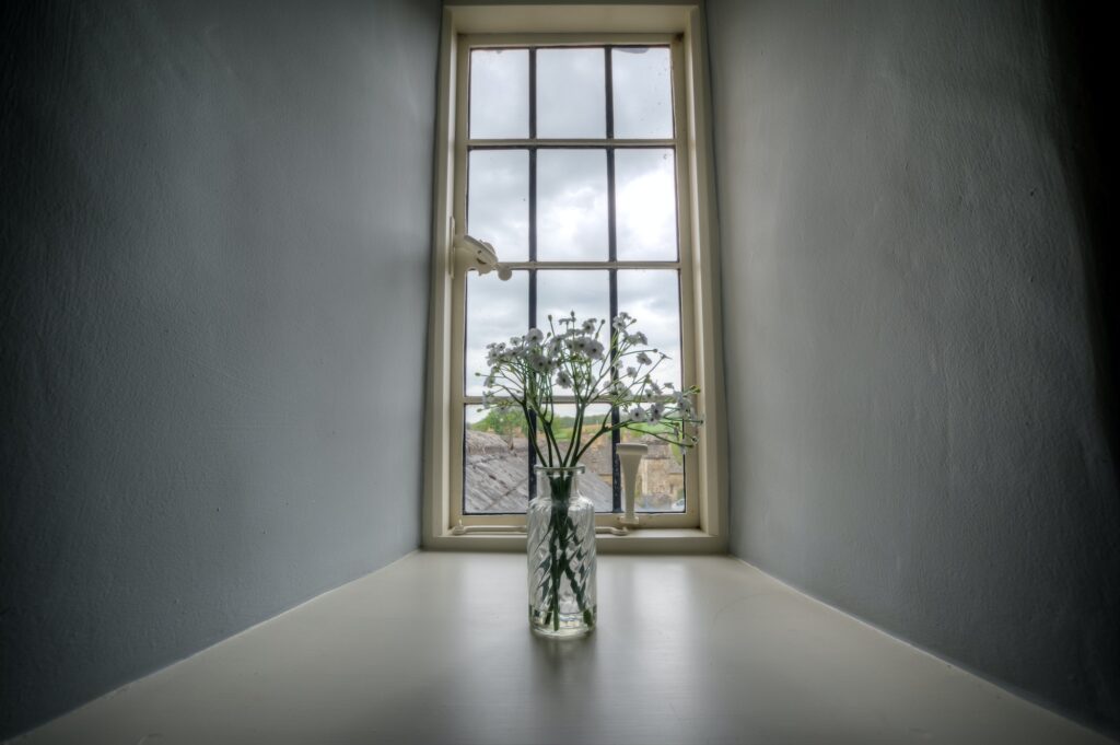 Wide lens moody shot of daisy flowers in a vase full of water on a windowsill